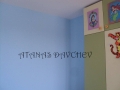 pic11